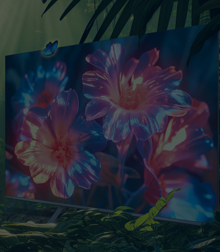 OLED